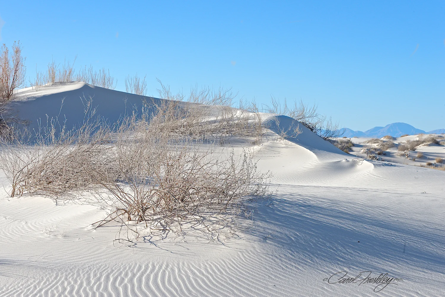White Sands 44.jpg