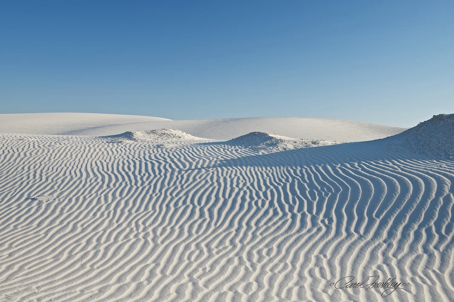 White Sands 89.jpg