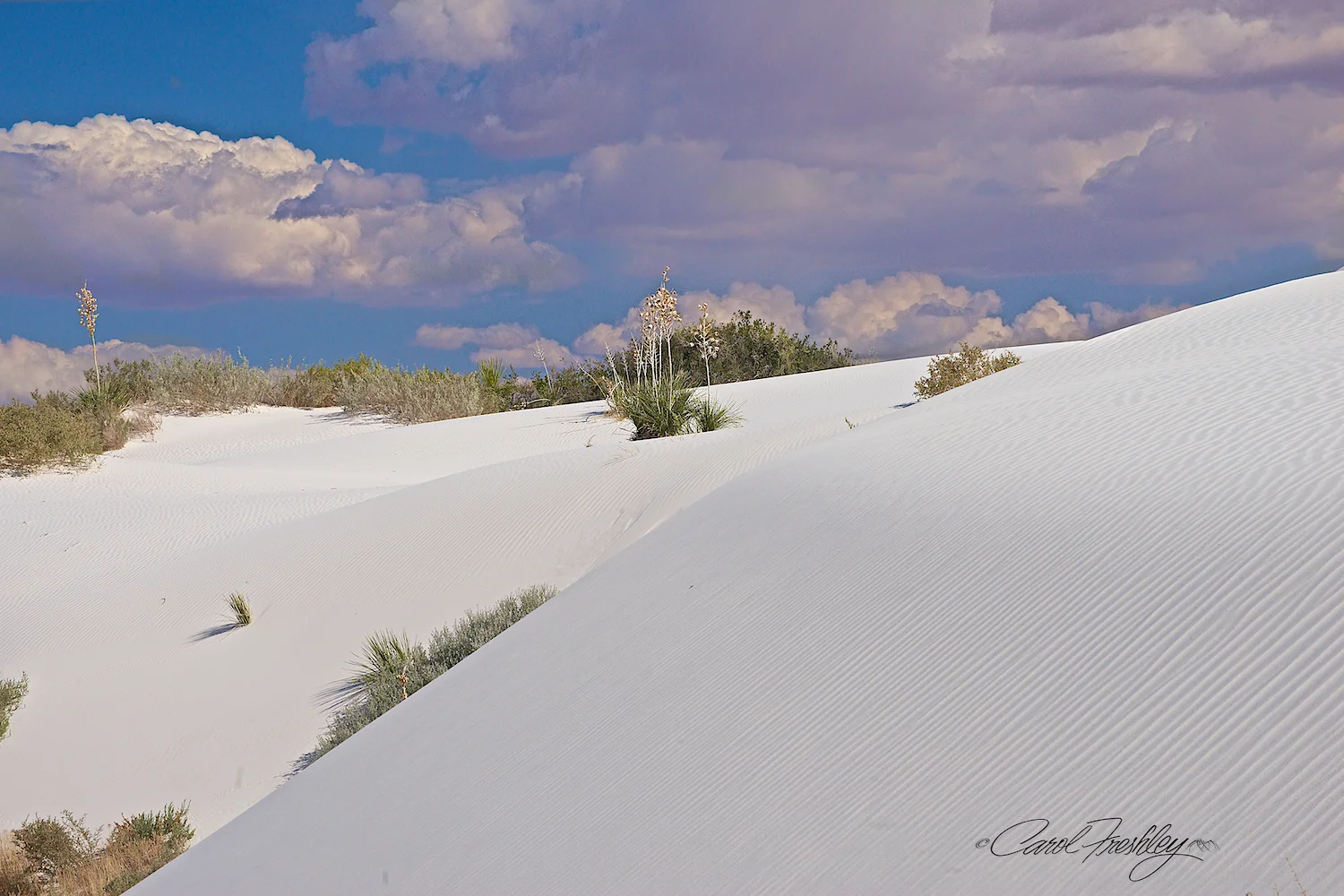 White Sands 143.jpg