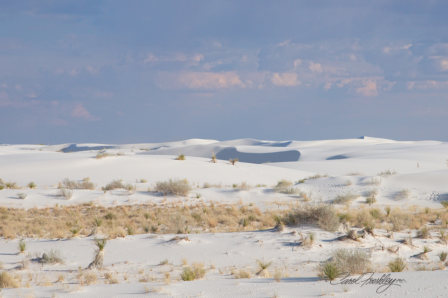 White Sands 175.jpg