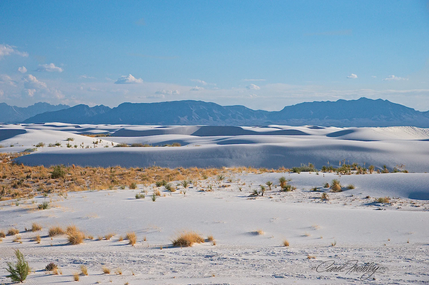 White Sands 179.jpg