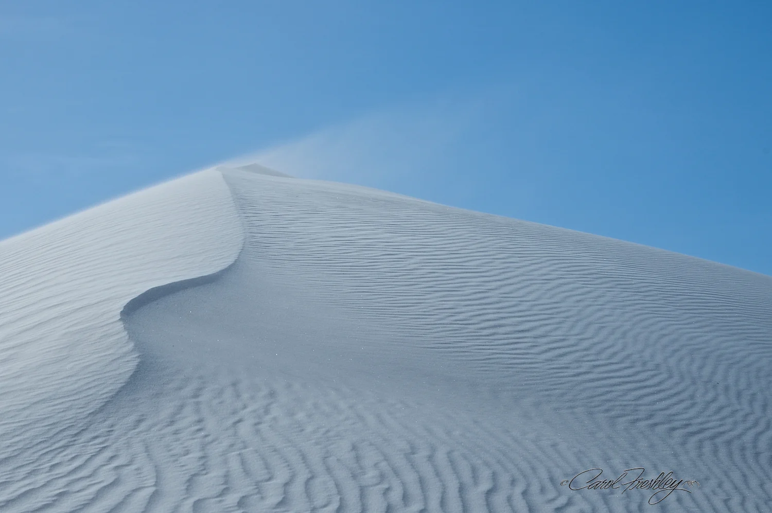 White Sands 230.jpg