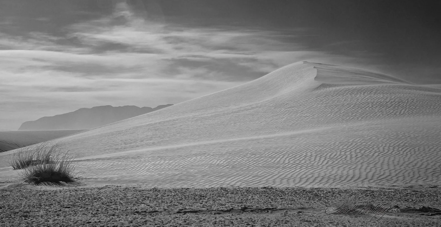 White Sands 238.jpg