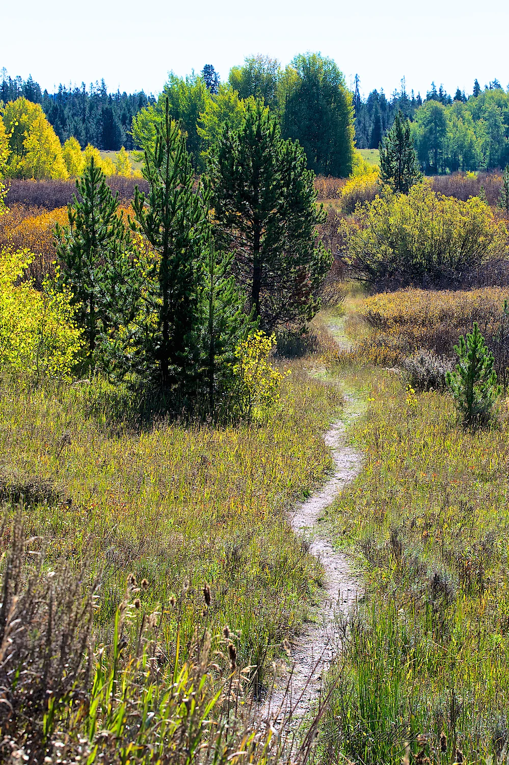 Teton National Park 163.jpg