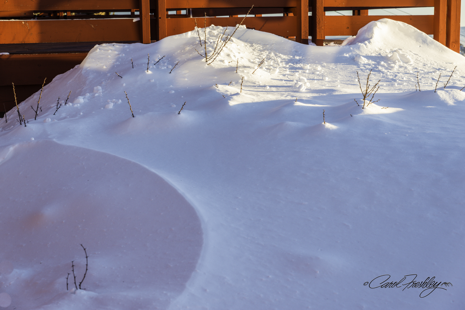 Perhaps it was too many shots, but I could almost make out a white sand dune here. Lovely ridge, interesting light, some stick-like things poking out. Having given up on White Sands for the time being due to weather, I took solace that this would do. All I needed was a good shot . . . 