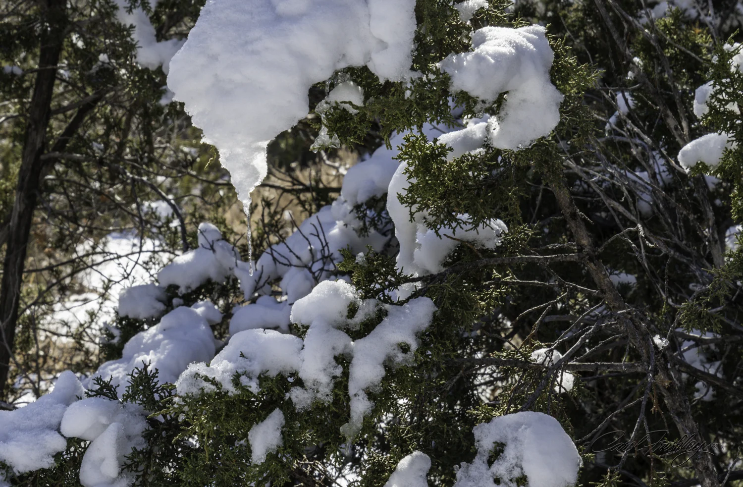 Yes!! There is still snow here.