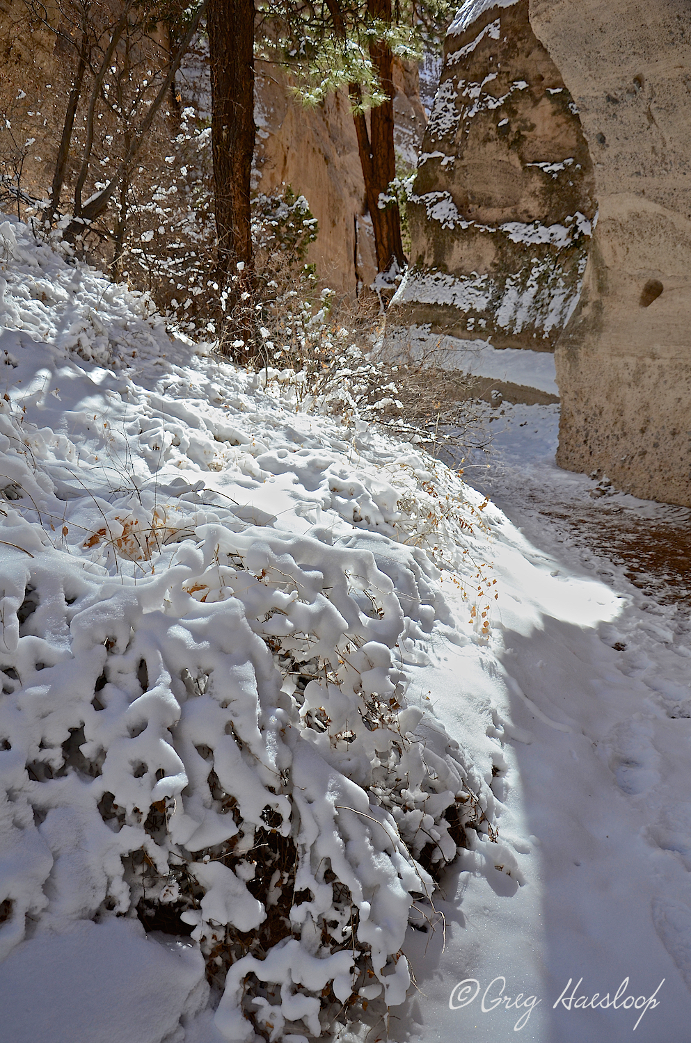 On every turn a new delight, new light, more snow.
