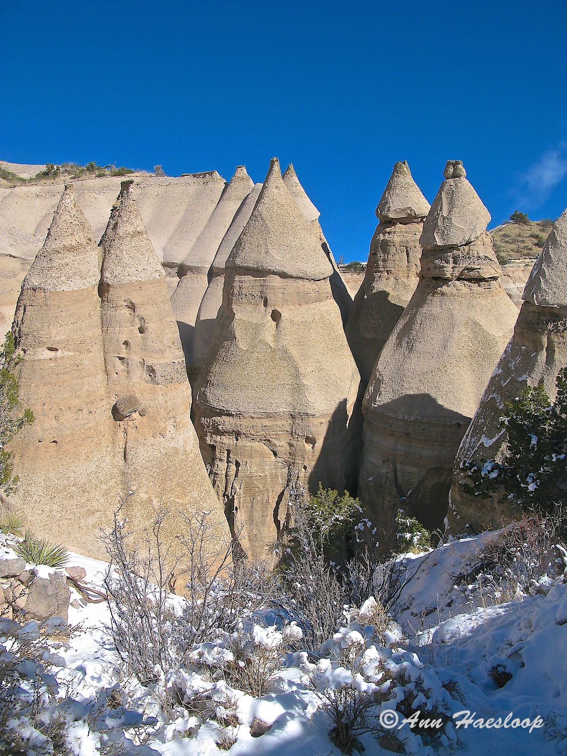 Now that you have reached the point of the hike where you are eye level. Wows!