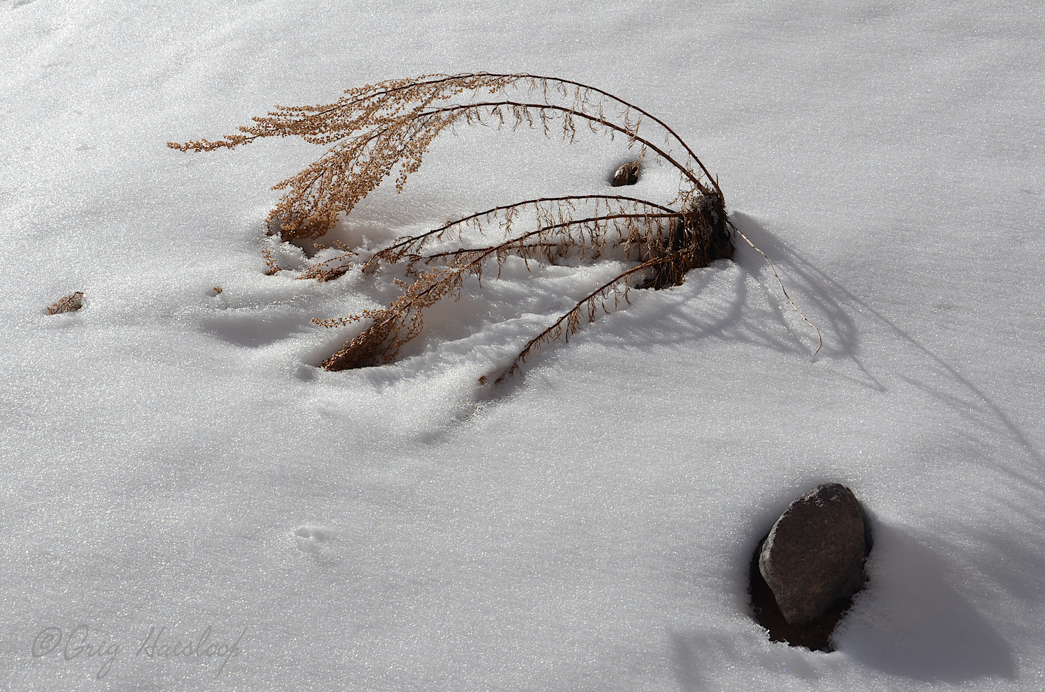 This could almost be a White Sands photo!! We are now prepared as we can shoot snow!! We can shoot white sand.
