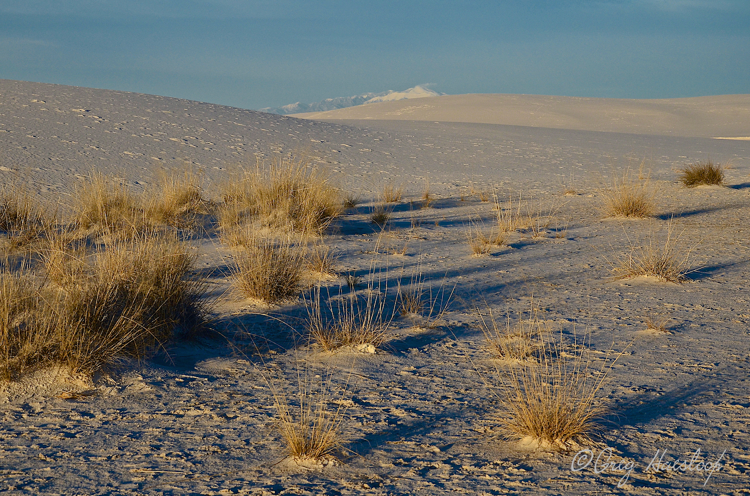 This was taken the first day we visited the monument. We chased the storm to Alamogordo. With just a very short time left to photograph the dunes . . . well this is not the way I expected them to look. They were a bit rain drenched. The mountain in the back is the Sacramento Mountain. It can often be seen from various elevations within the monument.