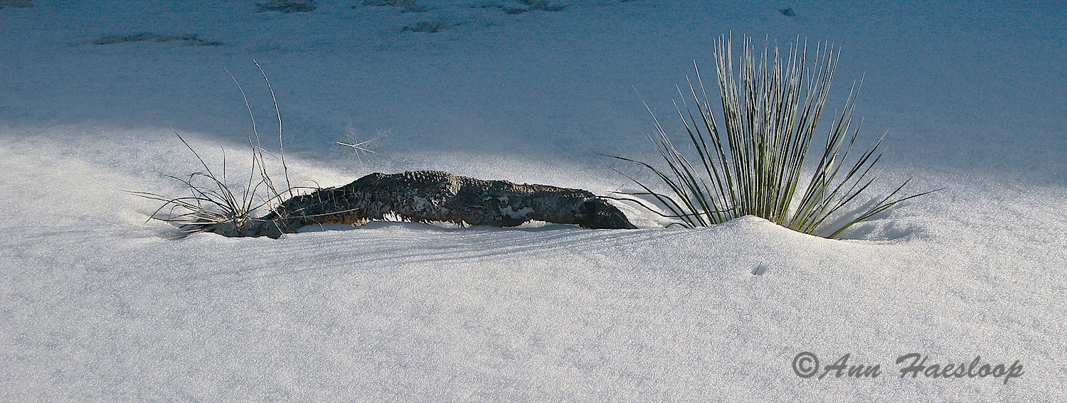 Beautiful!! Sand or snow?