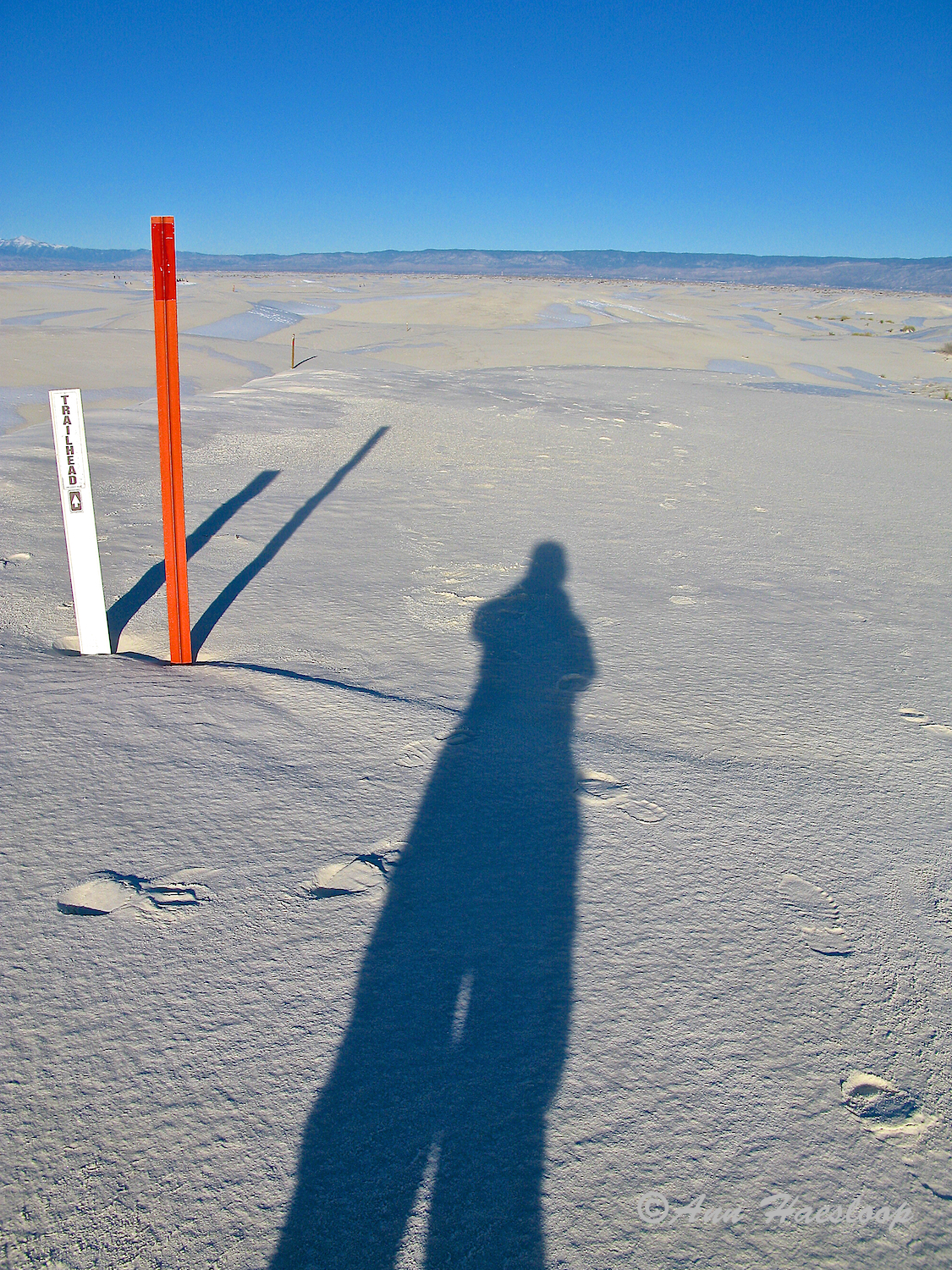 This image has a story. I smile as I write it up. I was showing Ann how her photos of the path that she is hiking serves as a 'leading line'. She got the point! Then she got a bit artsy in her interpretation! The red poles are markers placed every quarter mile to guide hikers around a loop. There are actually three in this photo. But, for me, the REAL leading line is the shadow of Ann, super hiker, that indicates "I am going there." And she did.