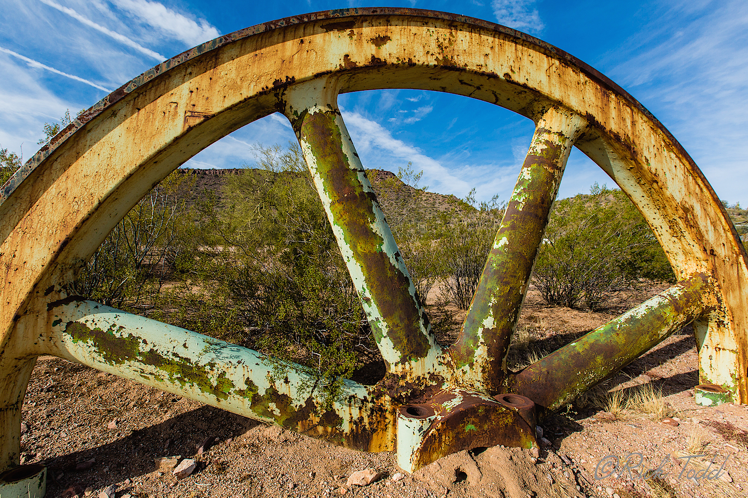 Nancy mentioned that her camera club's challenge for the month was 'circles'. She hit the mother-lode on this trip.