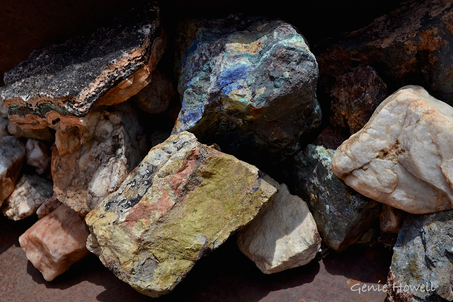 Fruits of the Nellie Media Mine.