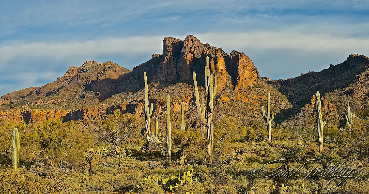 Superstition Mountain Range 50.jpg