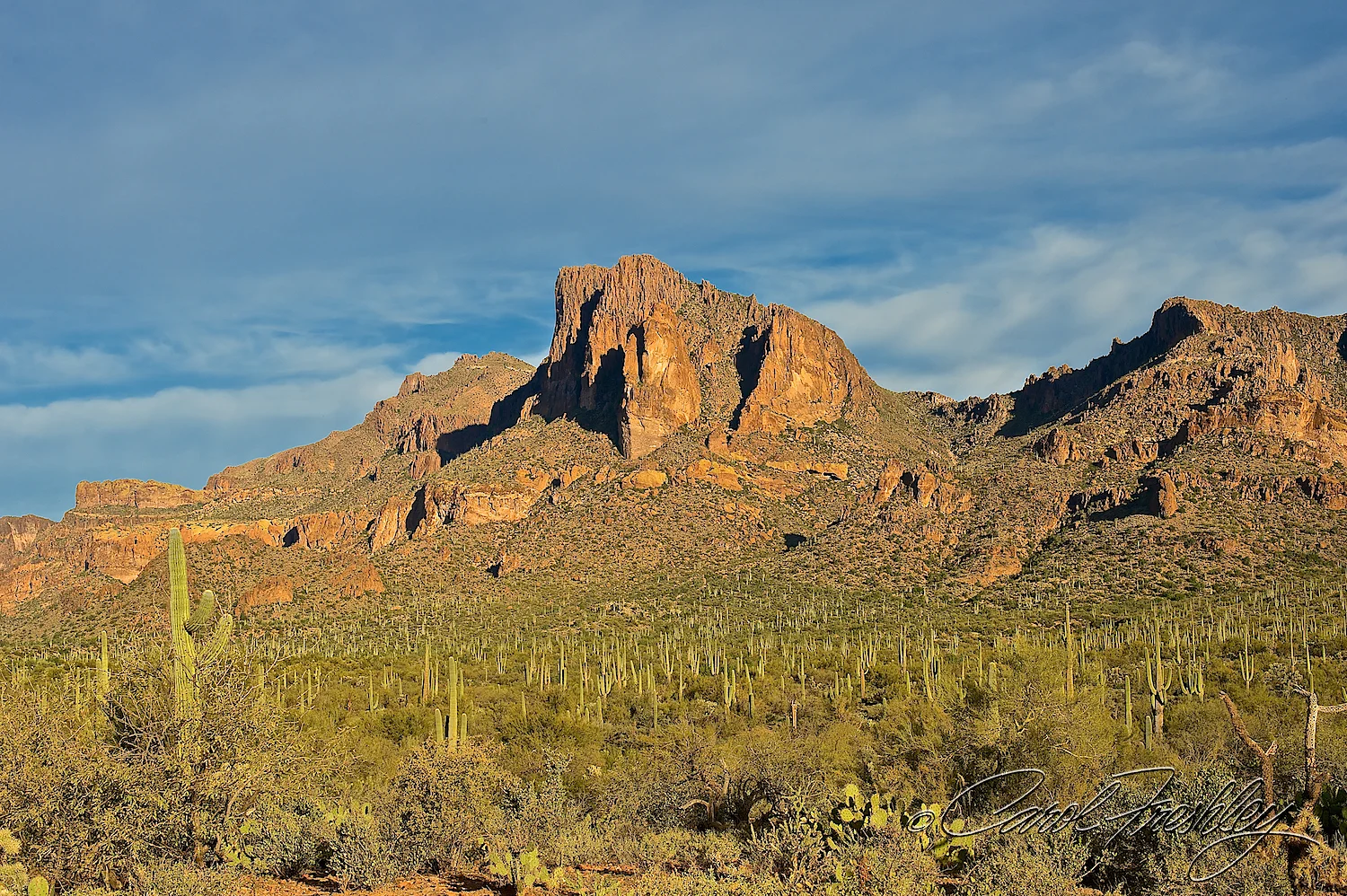 Superstition Mountain Range 54.jpg