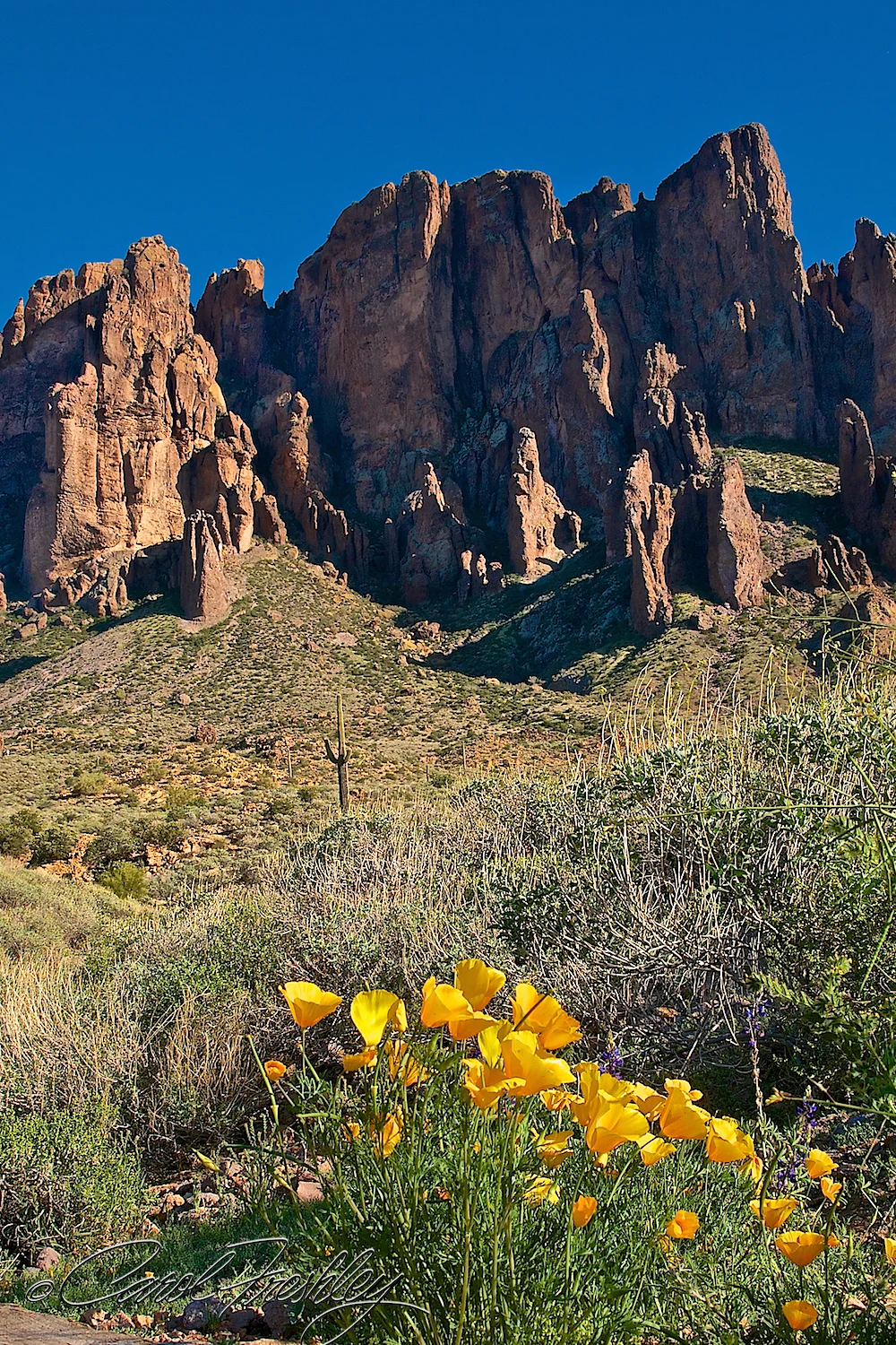 Superstition Mountain Range 21.jpg