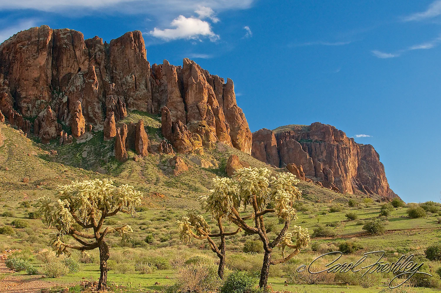 Superstition Mountain Range 5.jpg