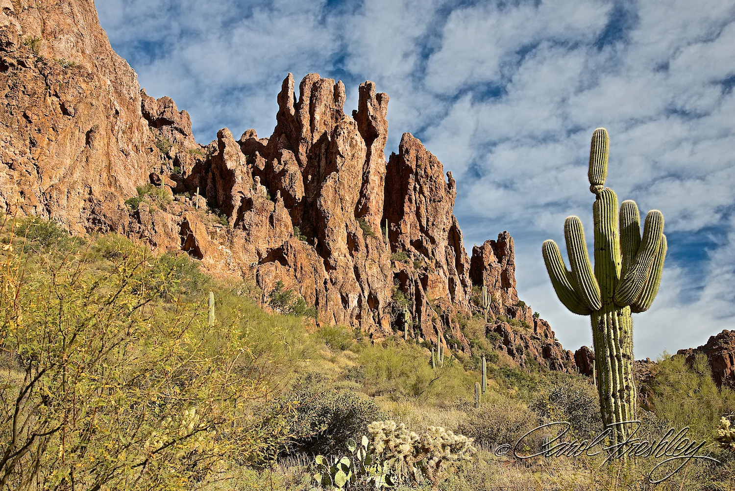 Superstition Mountain Range 66.jpg