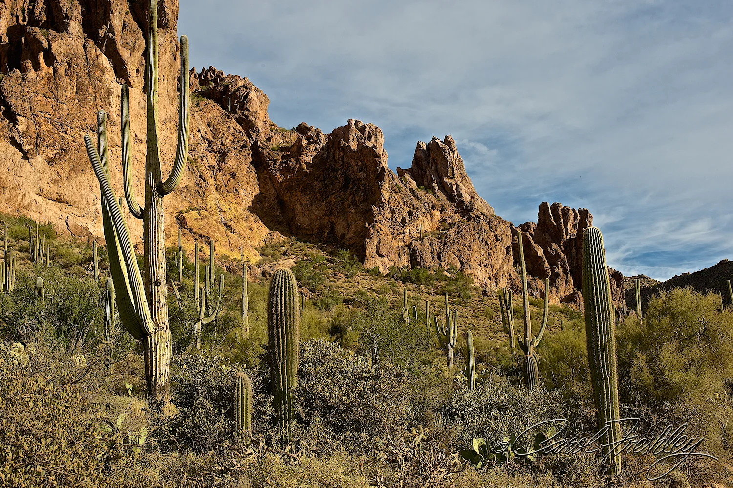 Superstition Mountain Range 60.jpg