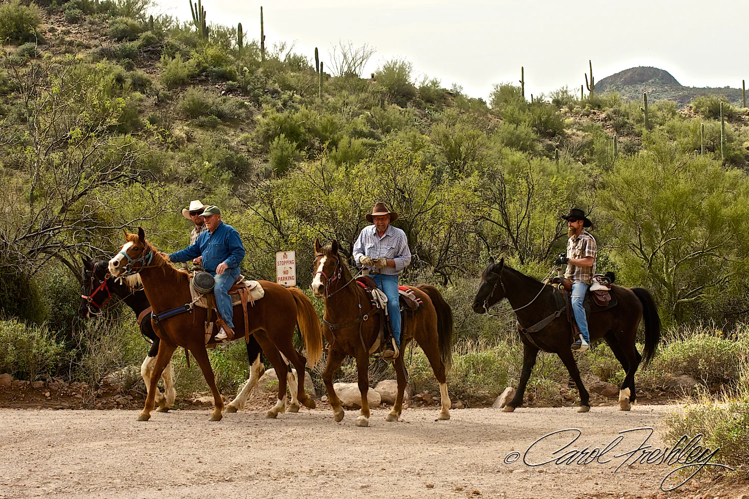 Superstition Mountain Range 75.jpg