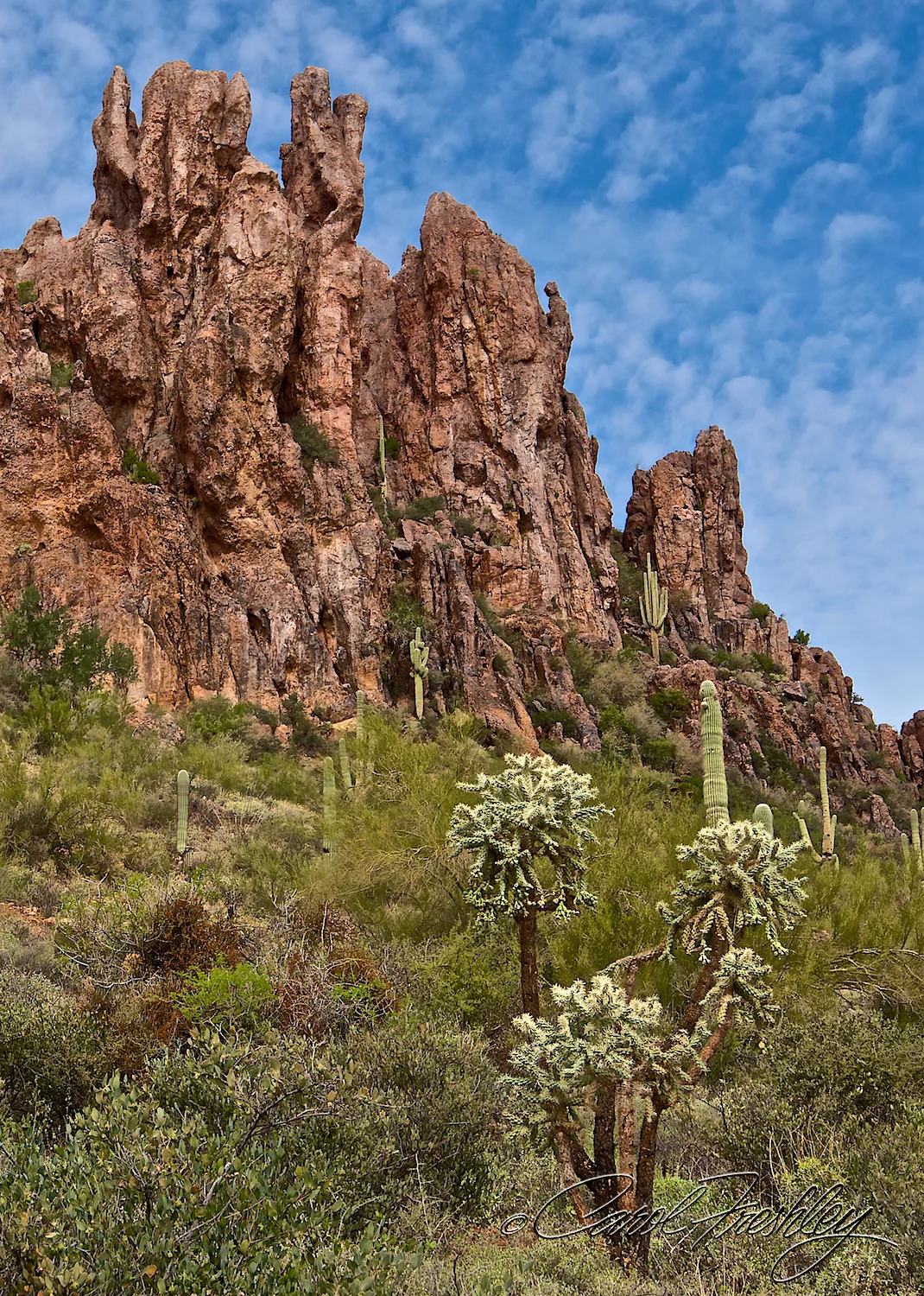 Superstition Mountain Range 77.jpg