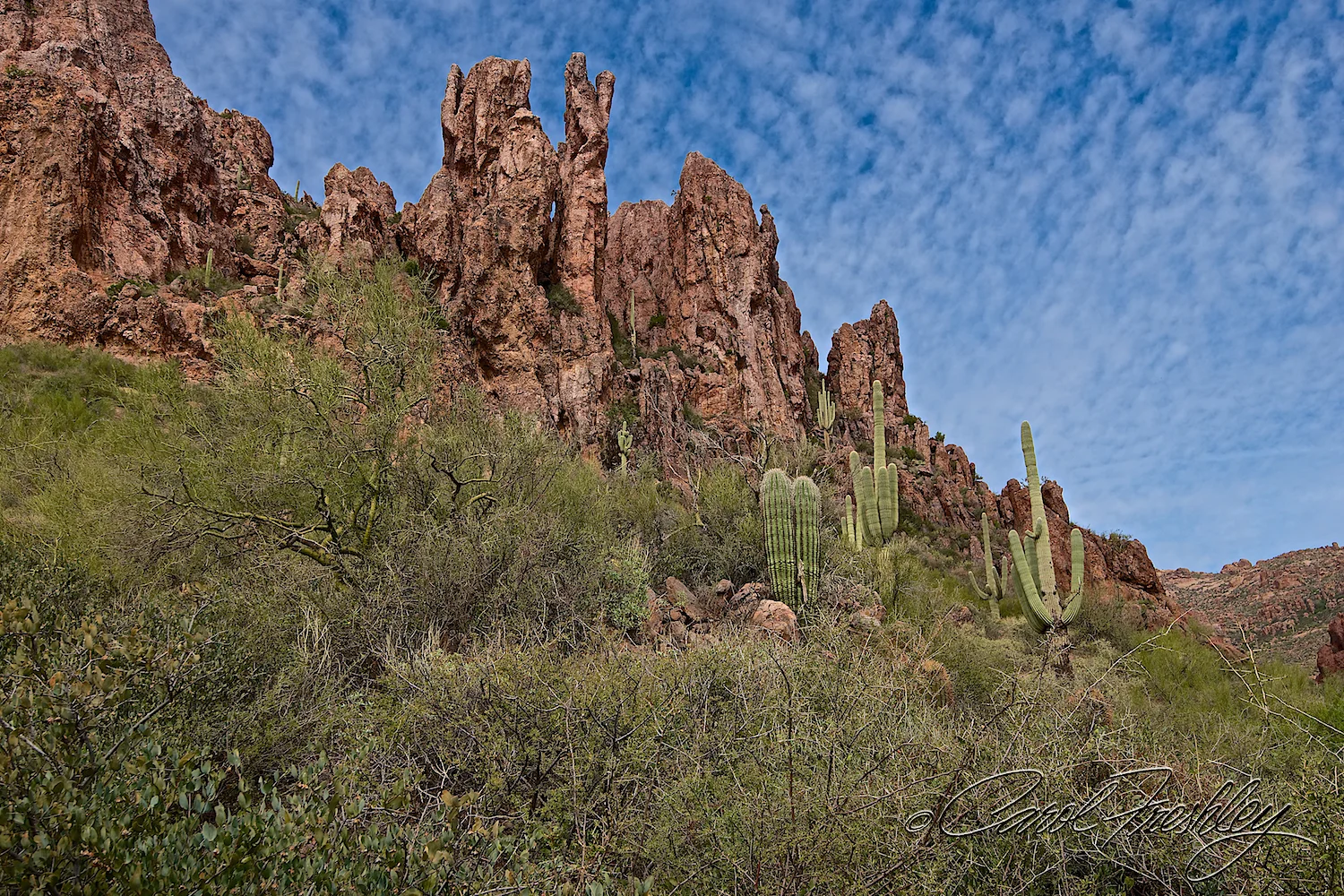 Superstition Mountain Range 80.jpg