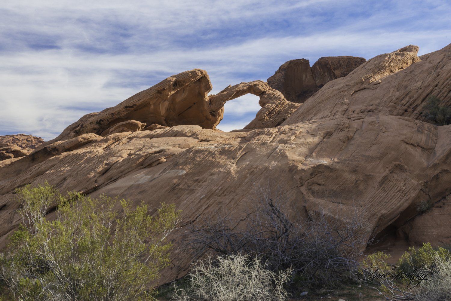 Not all arches are in caves. This is Arch Rock. Our reference said that the best way to photograph this arch was to stand in the middle of the road. Yikes. At least traffic volume is very small along the road and we watched out for each other. Reason? You can see a darker rock behind the arch in the upper right. To get a clean open shot through the arch you have to . . . well stand in the middle of the road!