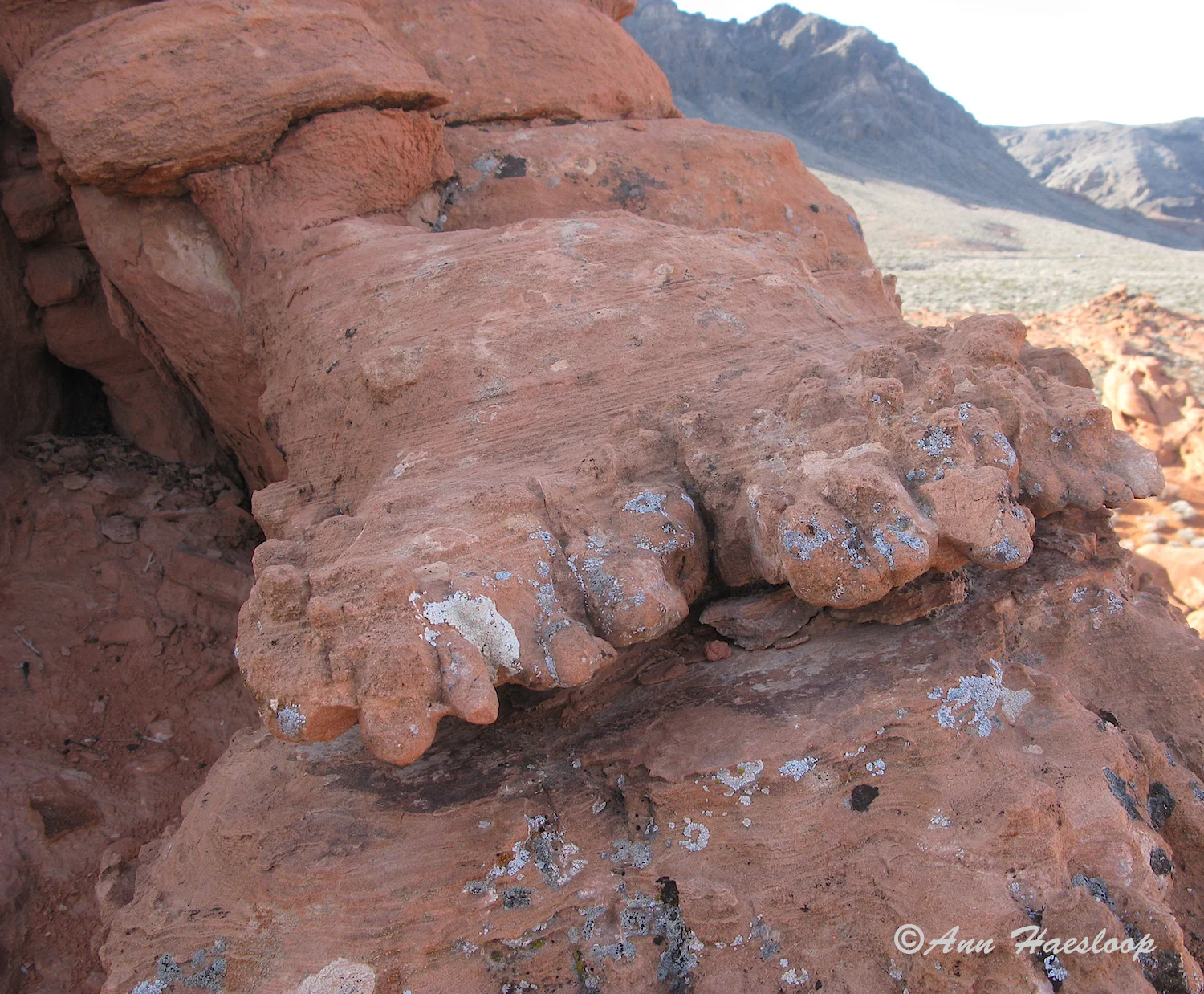 This image was first posted in the Challenge section. Ann explains this is what happens to your feet when your climb on too many rocks in one day!!