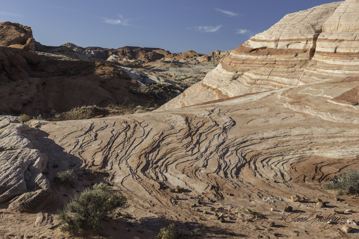 This is a dome-like hill just across from the Fire Wave. Layers and swirls. Colors and shadows.