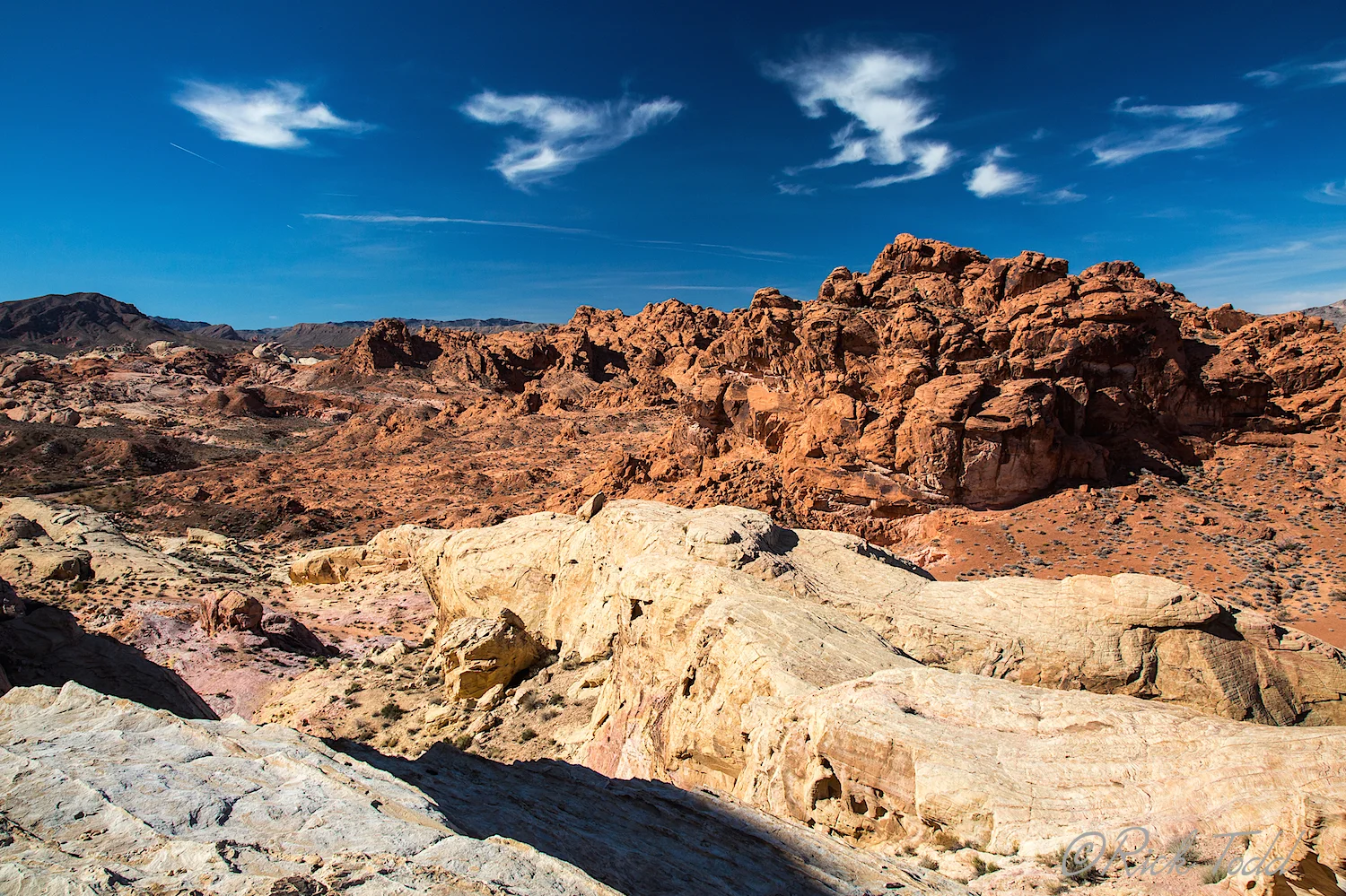 RT Valley of Fire 13.jpg