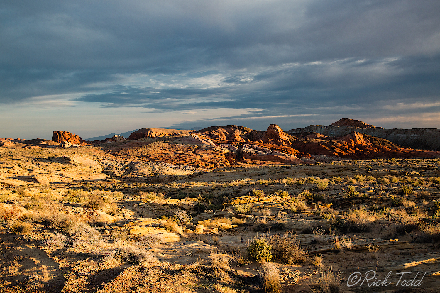 OK, am thinking that this is an evening Golden Hour.