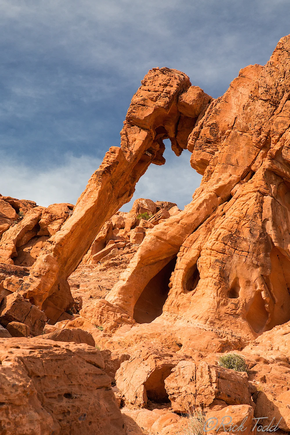 Now that I am home, I look at some of these photos and think, "Is there anything that looks like this is stable and safe to climb around?" When you are there you can see how massive these rocks are. They do fall, of course, but not often. 