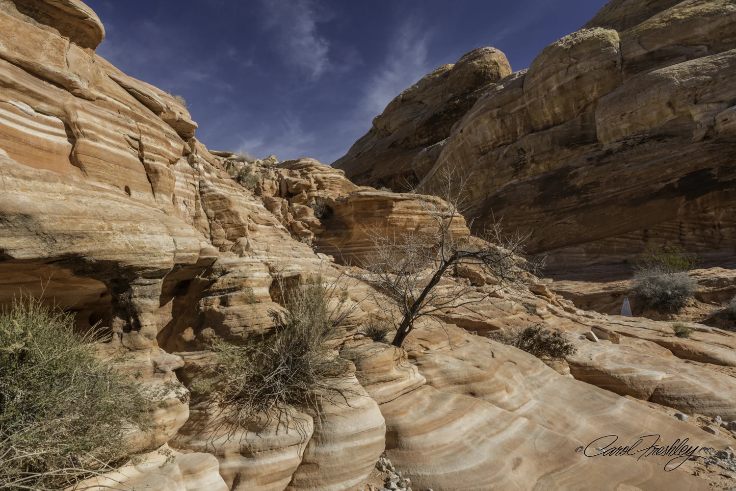 Valley of Fire-39-1.jpg