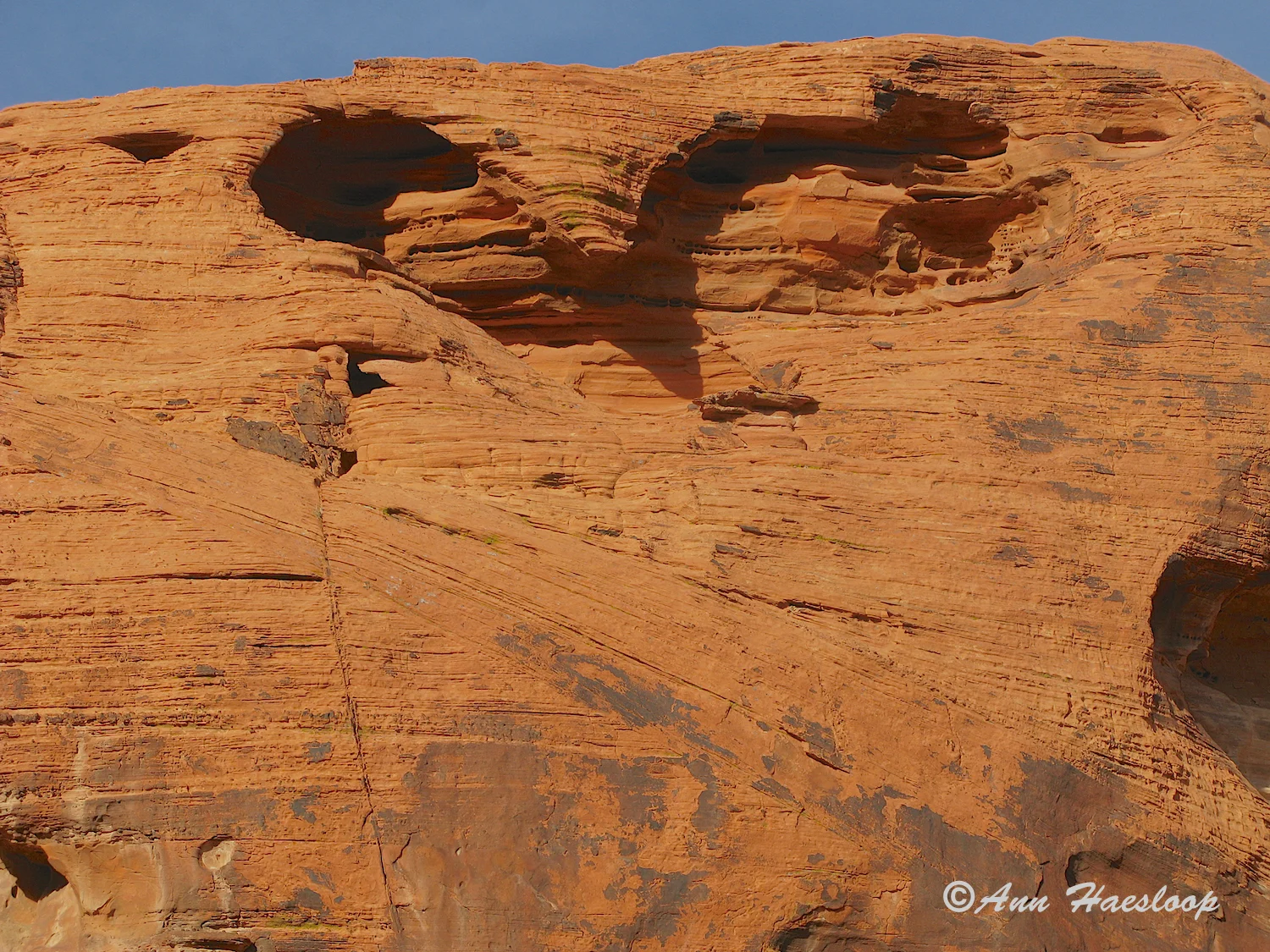Just in time for Valentine's Day, Ann gives us a heart rock.