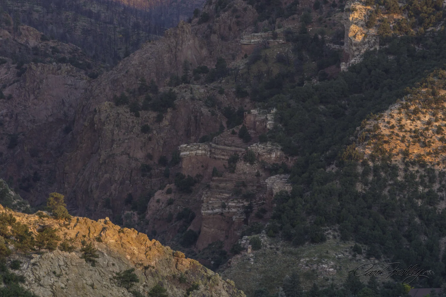Sunrise at Garden of the Gods-17-2-23.jpg