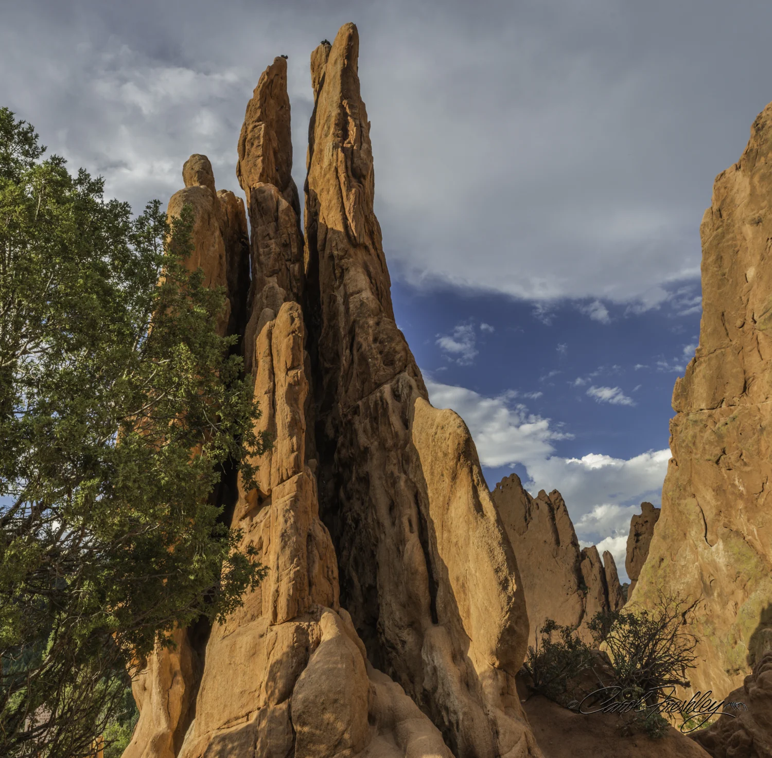 Sunset at Garden of the Gods-8-8.jpg