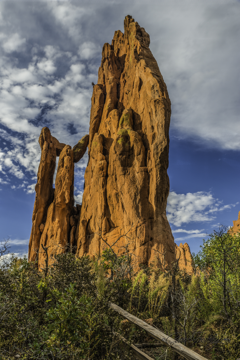 Sunset at Garden of the Gods-12-10.jpg