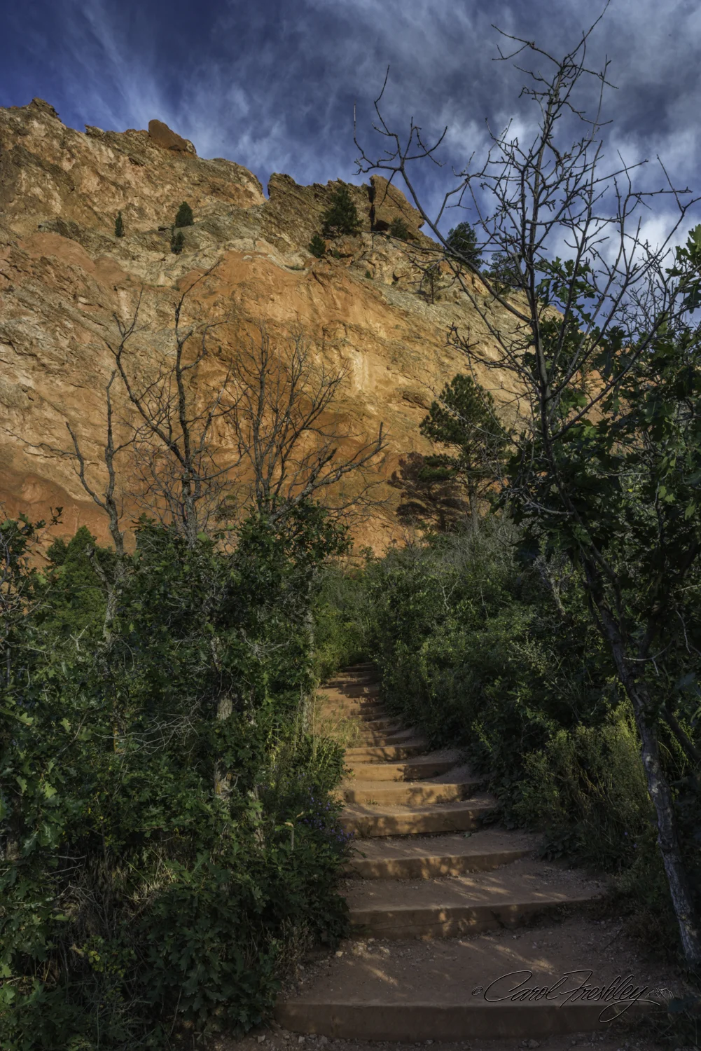 Sunset at Garden of the Gods-45-15.jpg