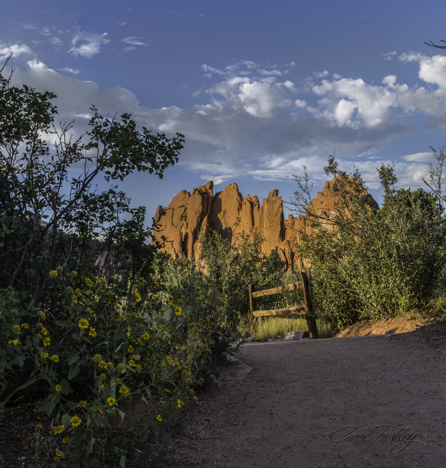 Sunset at Garden of the Gods-74-17.jpg