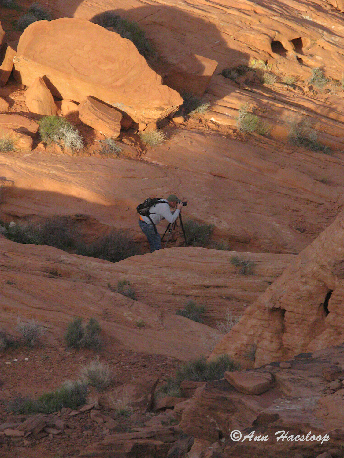 I know how Ann gets some of her perspectives. She hikes UP! Like a mountain goat! And fast!