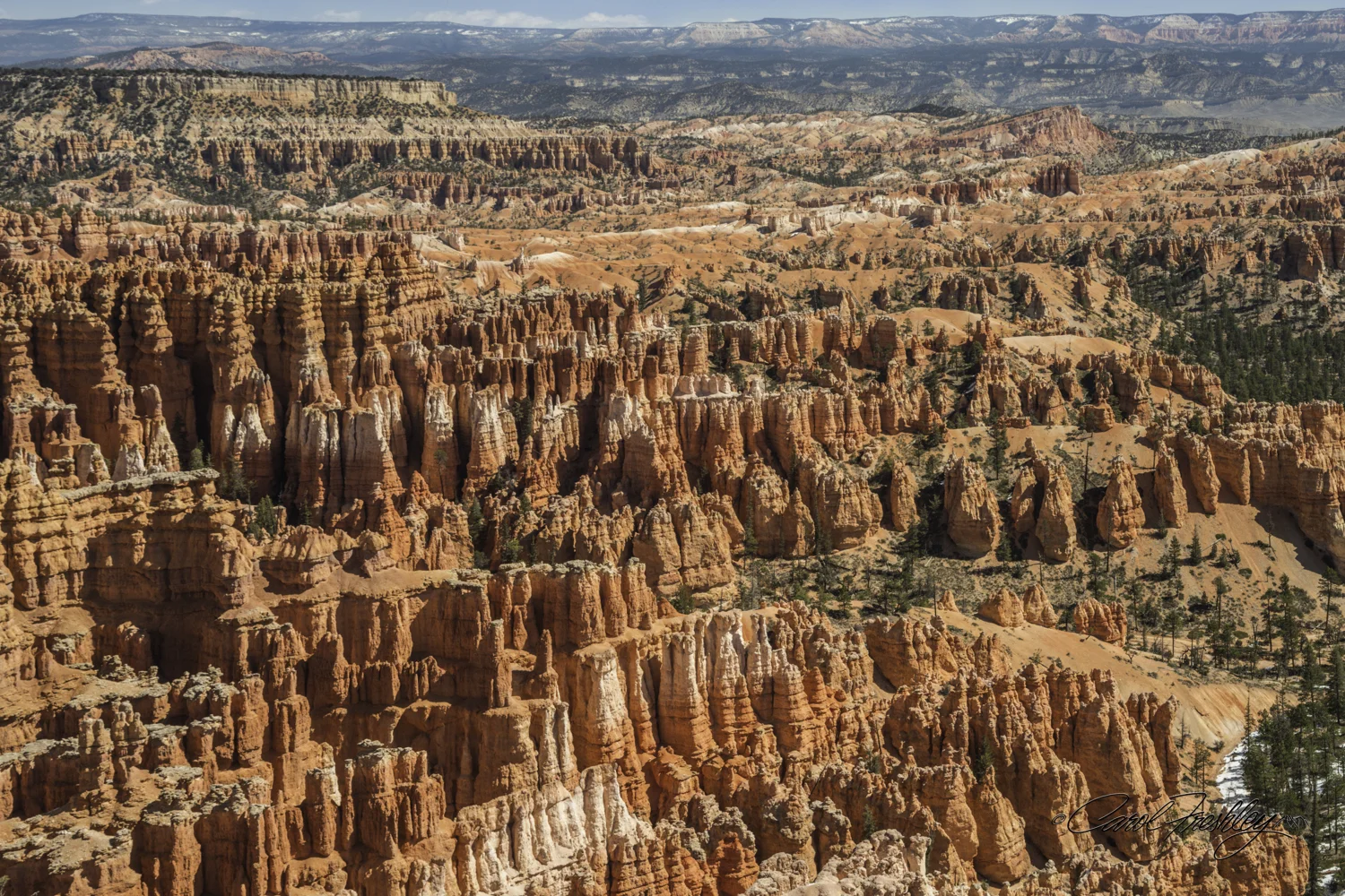Bryce 1-1.jpg