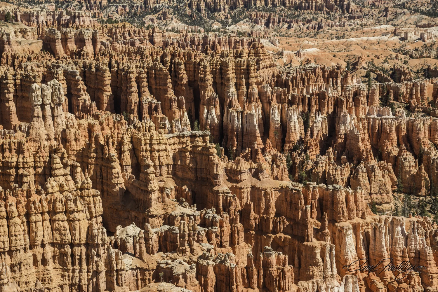 Bryce 3-2.jpg