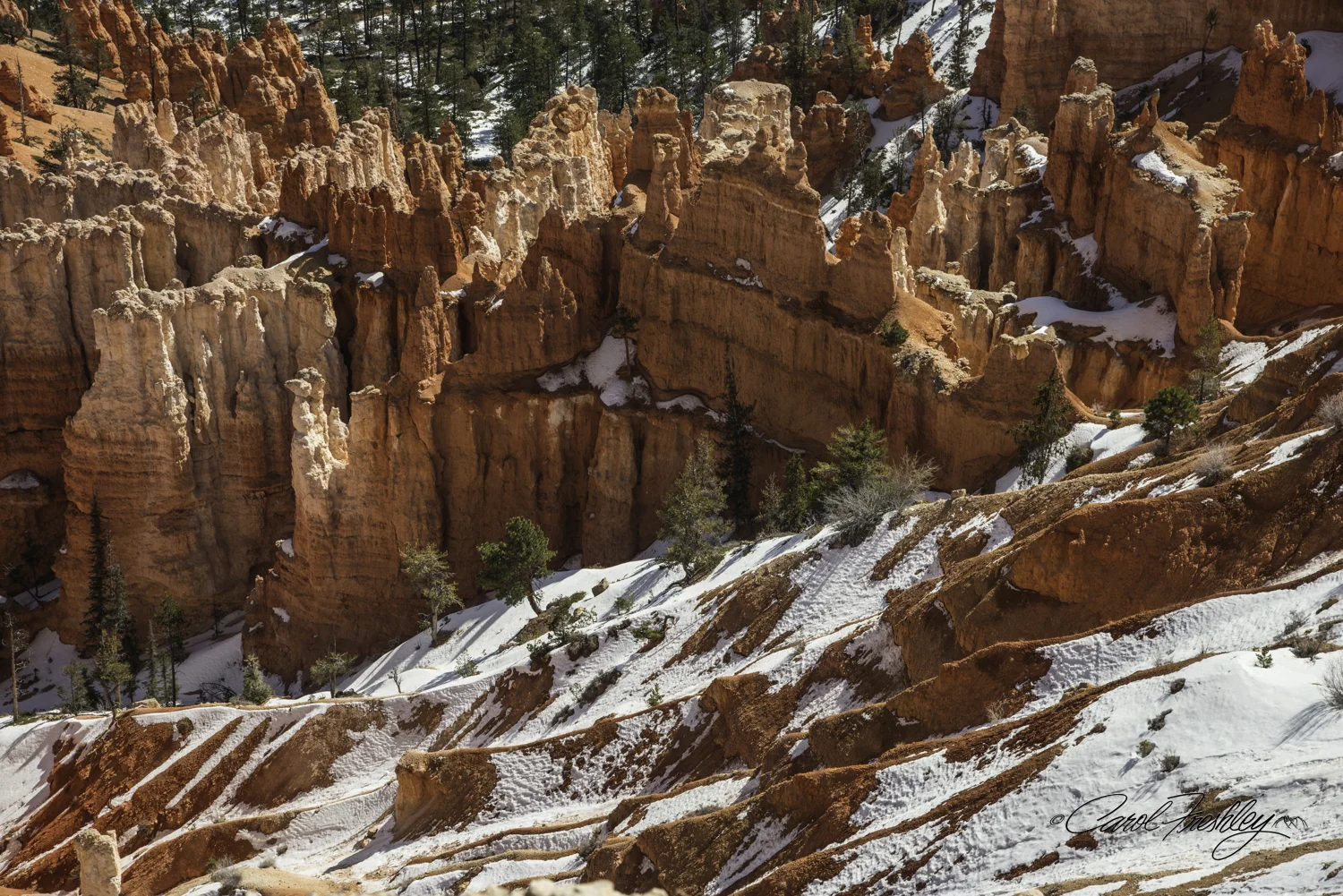 Bryce 8-3.jpg