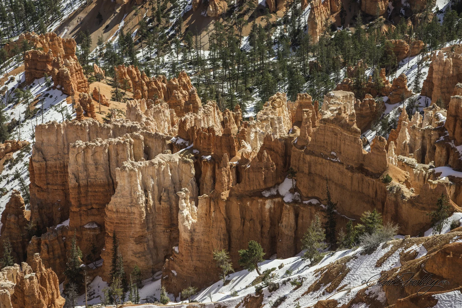 Bryce 10-4.jpg