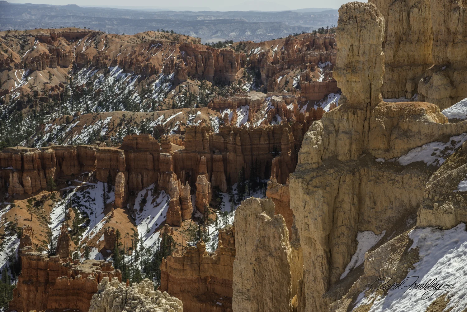 Bryce 13-5.jpg
