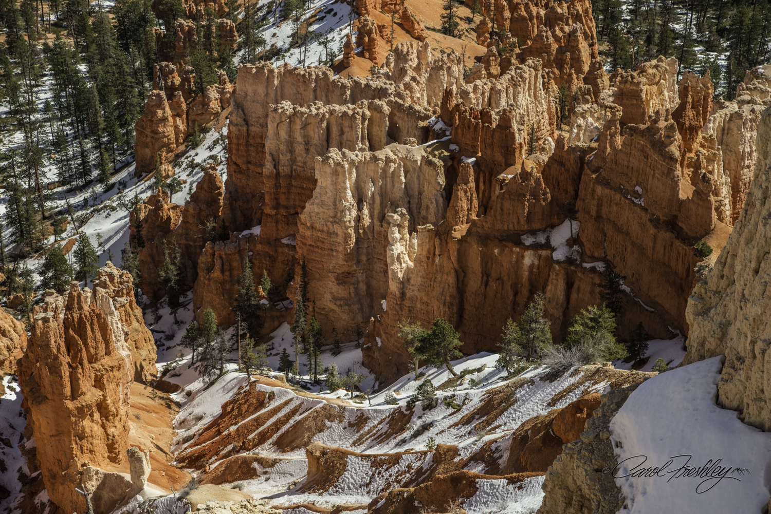 Bryce 14-6.jpg