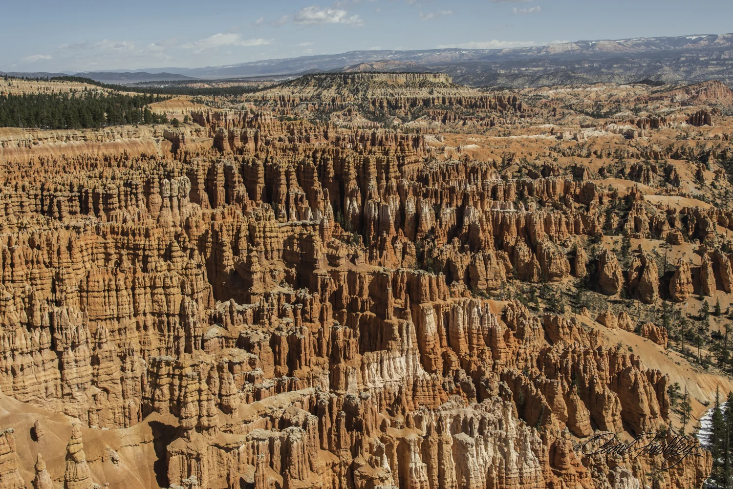 Bryce 15-7.jpg