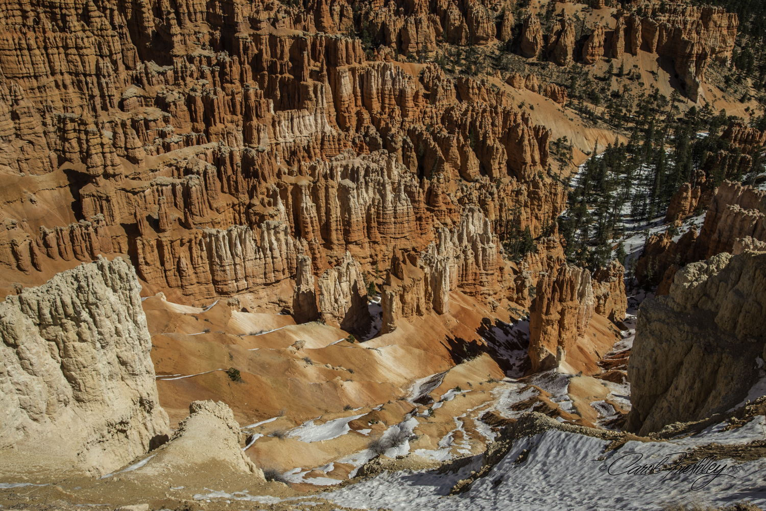 Bryce 19-8.jpg