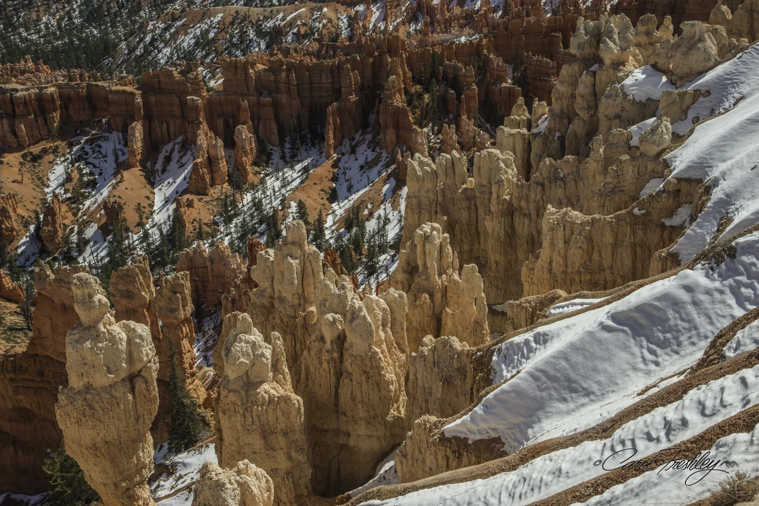 Bryce 26-10.jpg